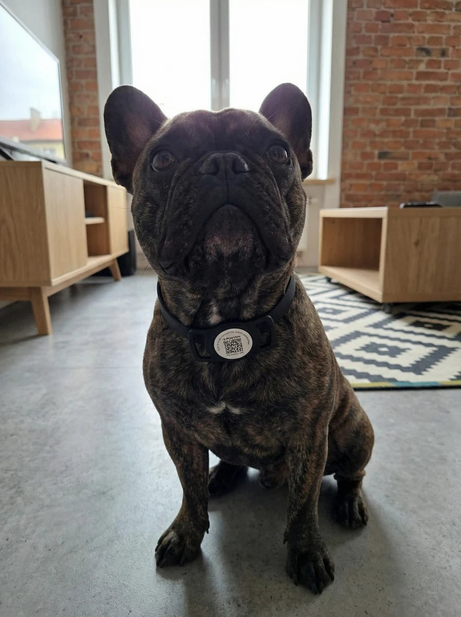 Customer avatar (Verified reviewer)