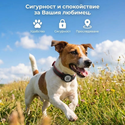 Pawley™ Smart ID - Умният адресник за куче с локация и здравен профил