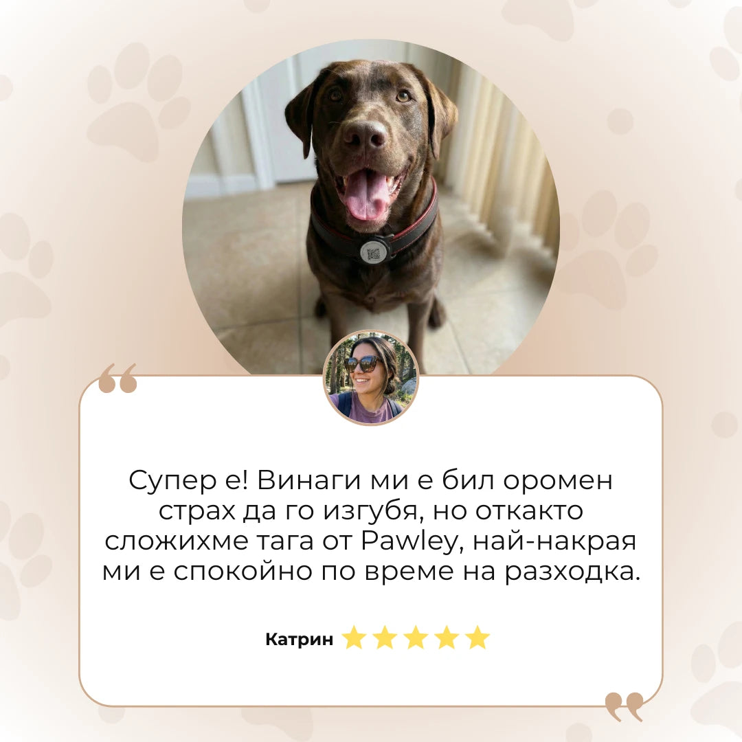 Pawley™ Smart ID - Умният адресник за куче с локация и здравен профил