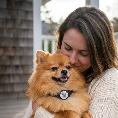 Pawley™ Smart ID - Умният адресник за куче с локация и здравен профил